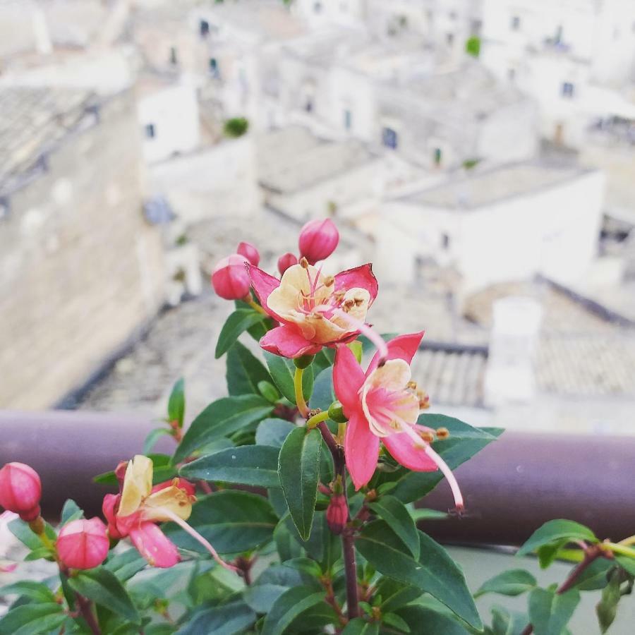Sole Di Paglia Apartment Matera Luaran gambar